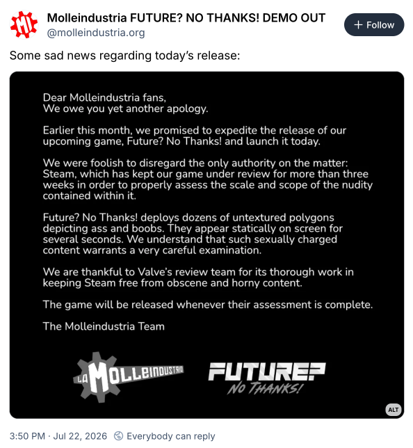 Steam bloque un jeu pour des fesses en polygones non texturés 图片 2