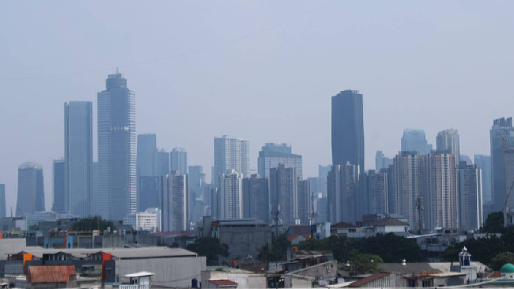 China, Indonesia investment cooperation holds potential, official says 图片 2