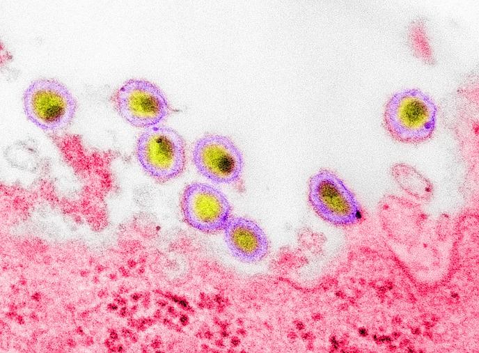 A New Kind of HIV Pill Just Passed Its First Test in Humans 图片 2