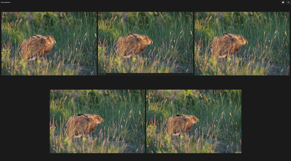 This software saved me when I got carried away with my camera in the countryside! 图片 2