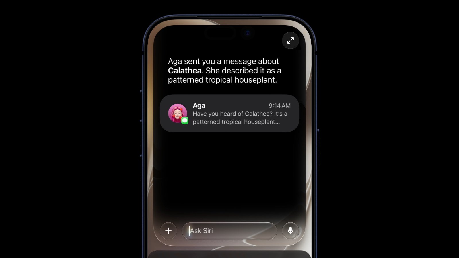Siri Settlement Approved: Apple to Pay Owners of Some iPhone Models 图片 3