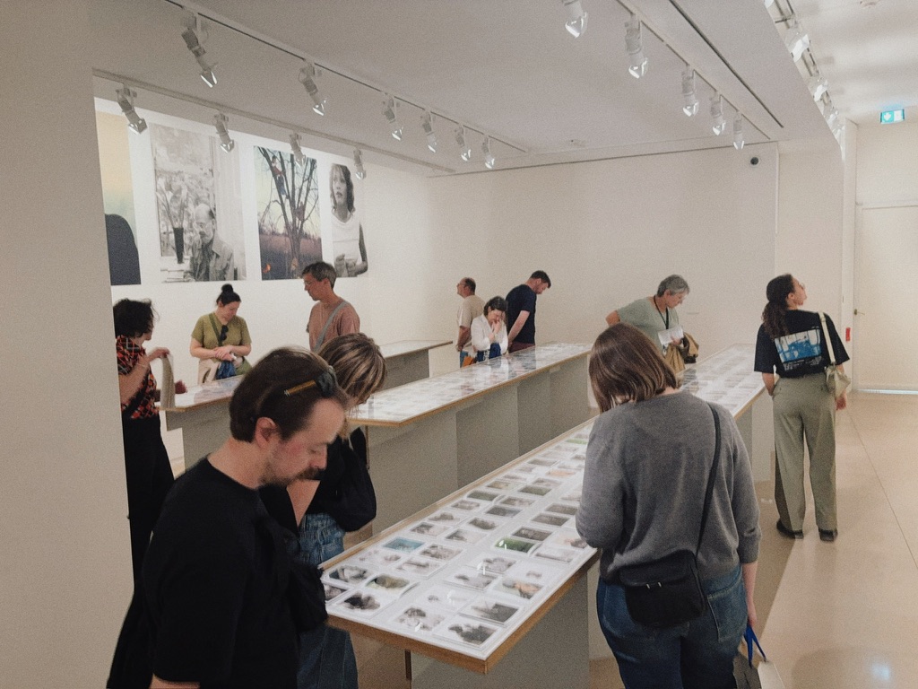 中、日、英、法的摄影展馆 图片 4