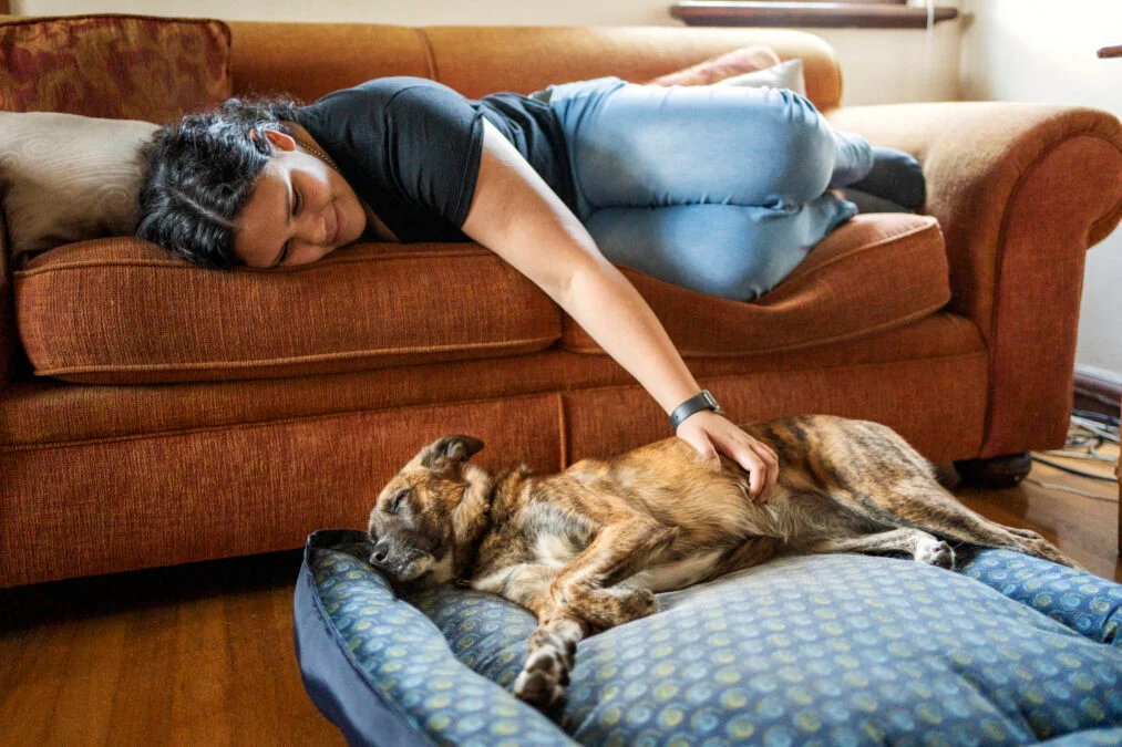 Drug-Resistant Bacteria May Be Jumping Between Pets And Humans, Scientists Warn 图片 3