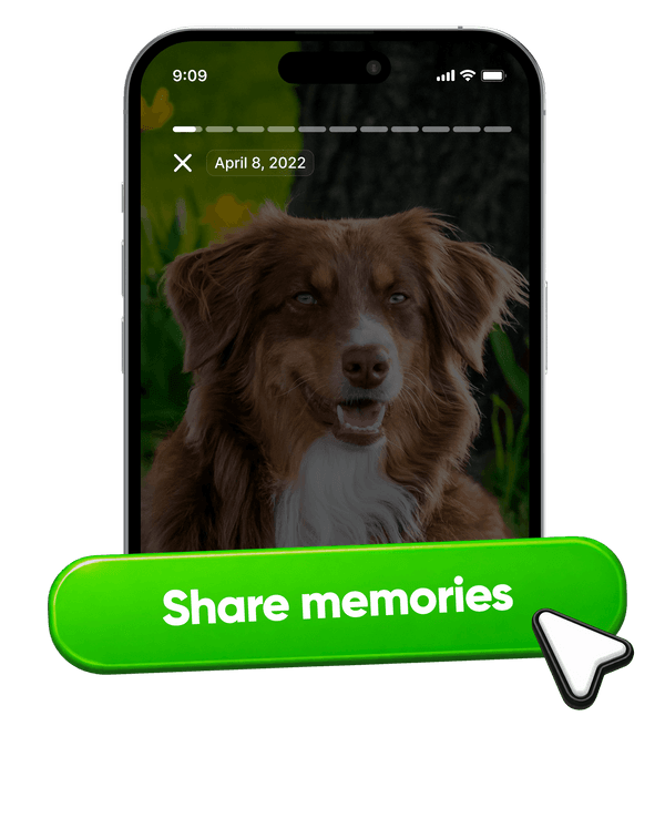 Memories are meant to be shared 图片 2