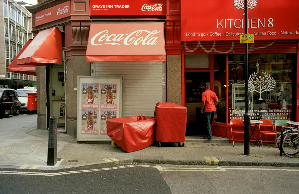 Stunning must see colour photographs from an increasingly grey world – check these out for a dopamine hit! 图片 4