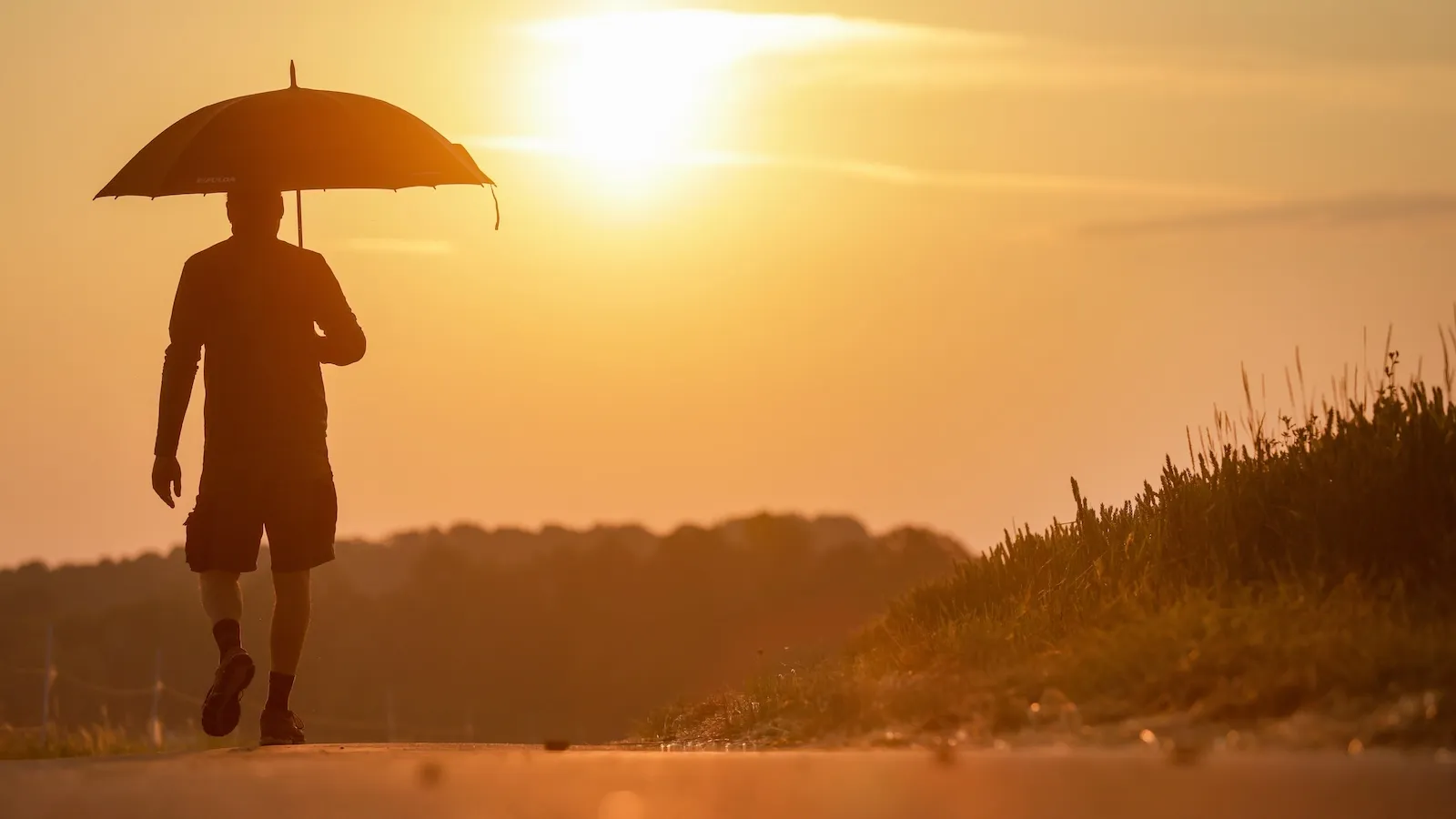 The year climate change came for the Tour de France 图片 2