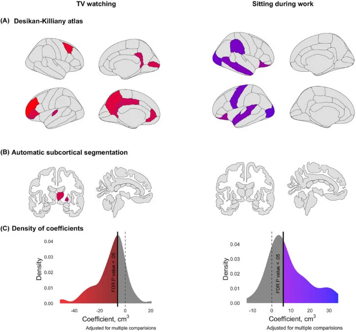 Bad News For Bingers: Watching Too Much TV Linked to Smaller Brain Volume 图片 2