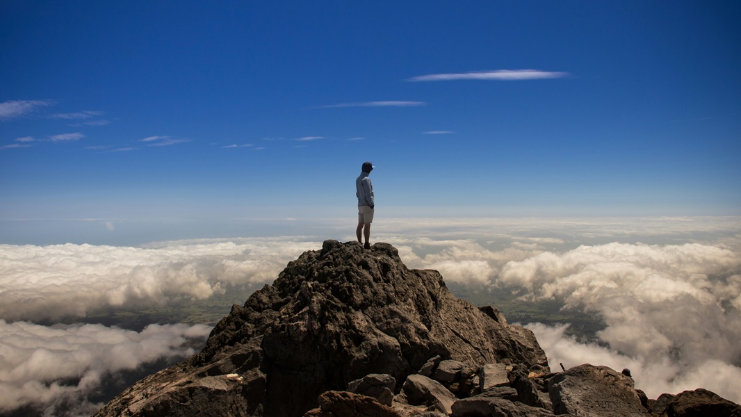 Doing and experiencing in language: how similar are they? 图片 2
