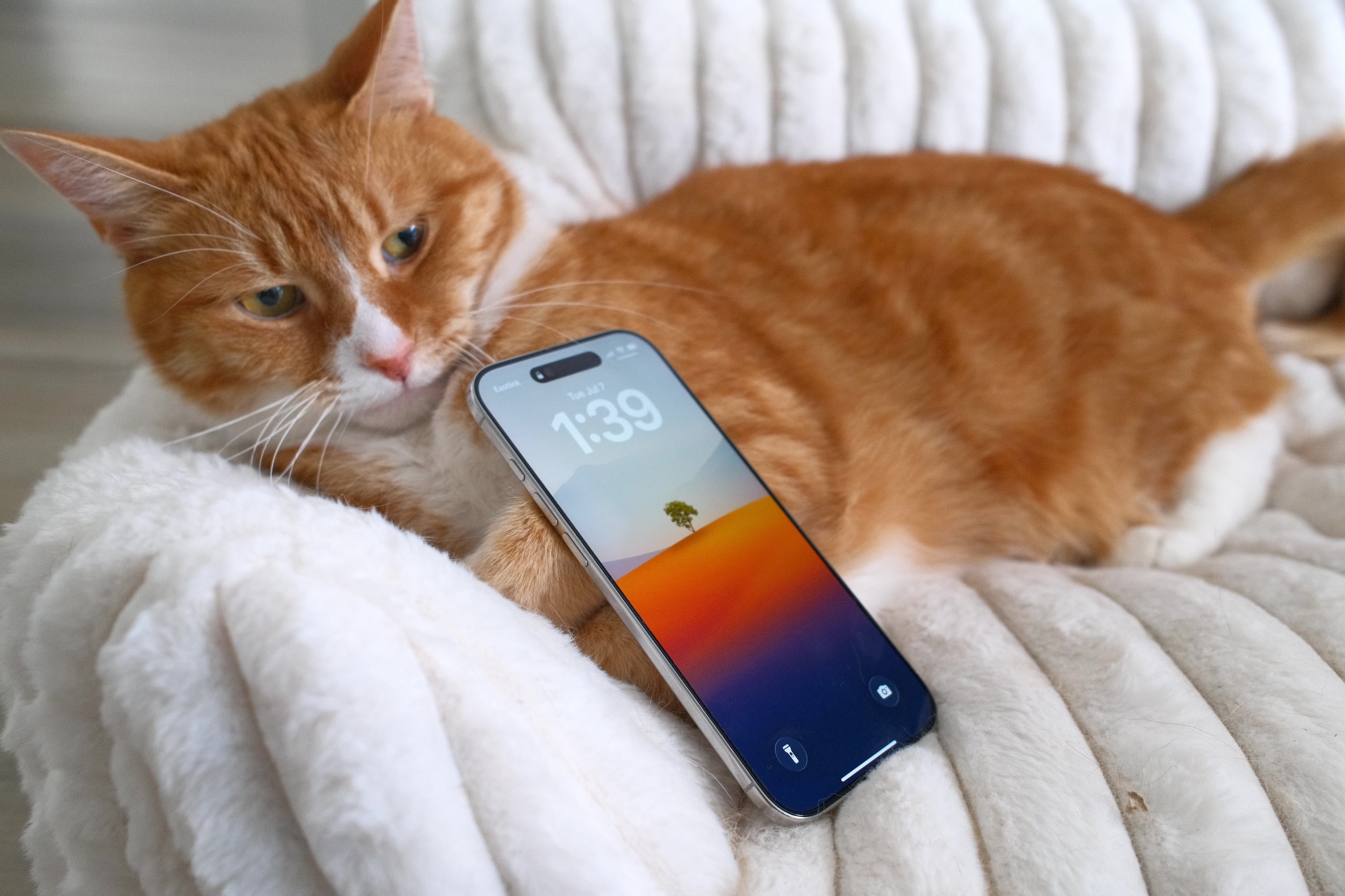 I have thoughts on the iPhone Air 图片 2