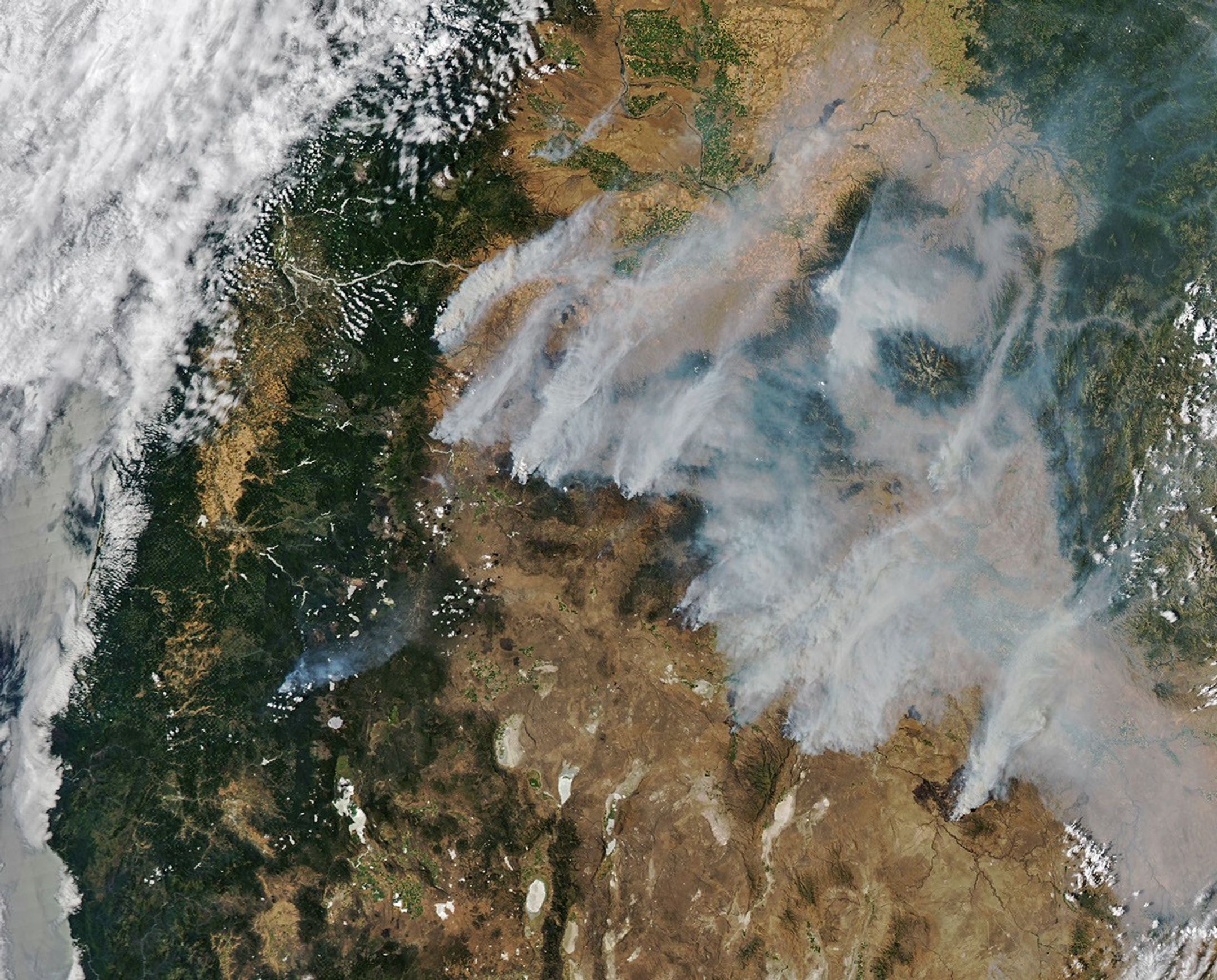Smoke Blankets Oregon 图片 2