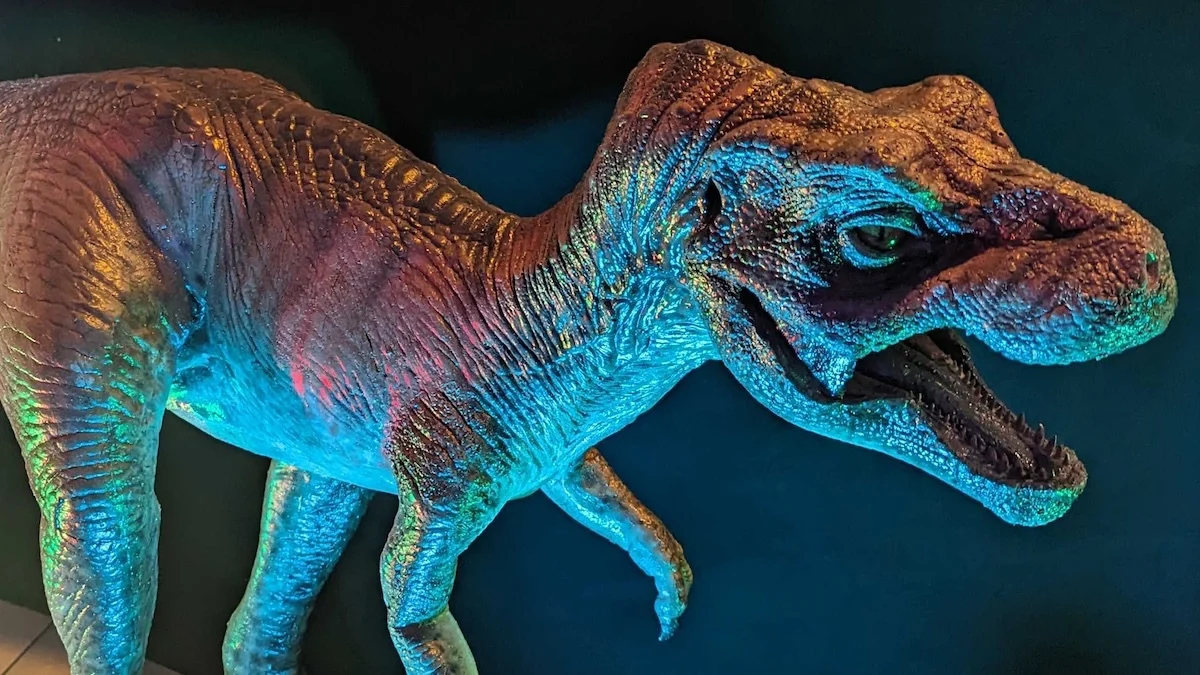 This Week in Science: Tiny T. Rexes, a New Monkey Species, And More! 图片 3