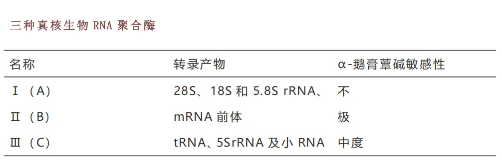他错过了诺奖，却重塑了现代分子生物学|逝者 图片 3
