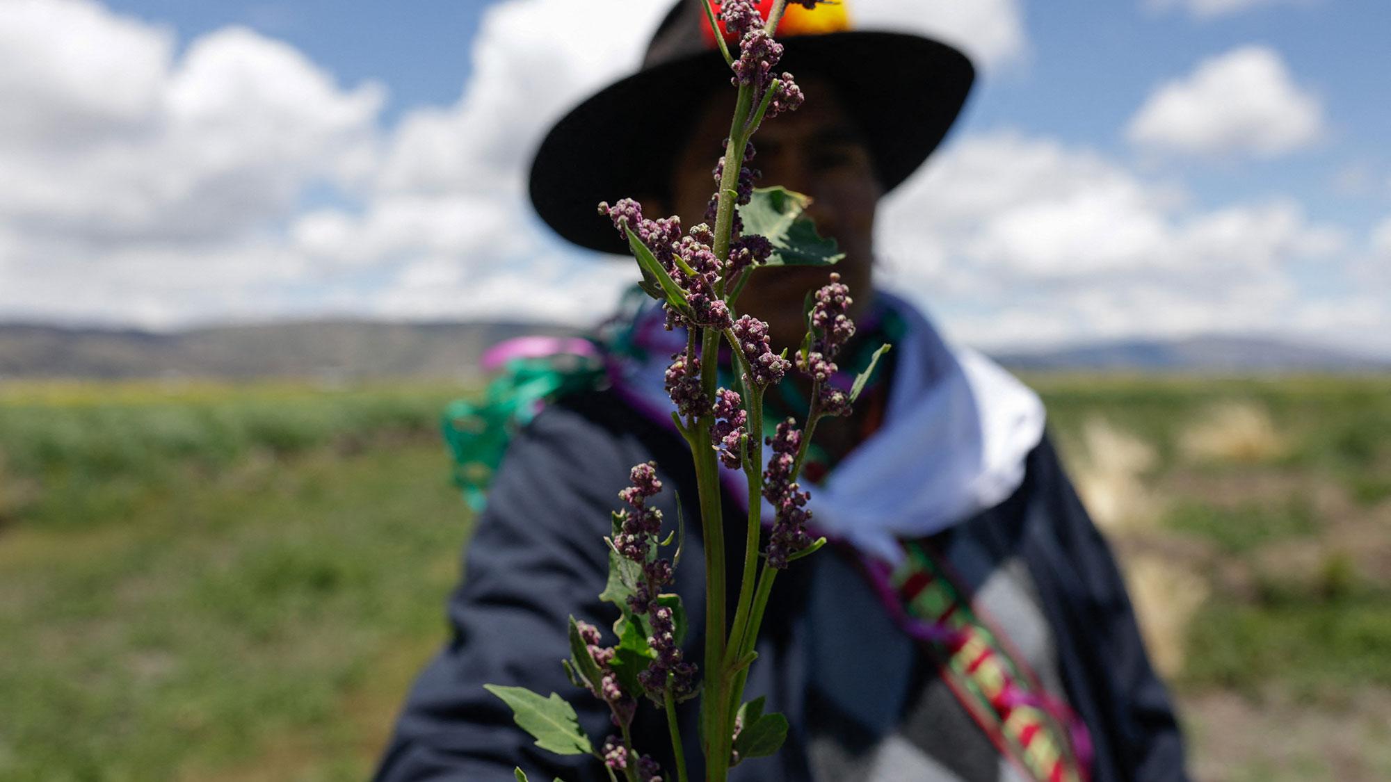 As climate change threatens their lands, Indigenous nations demand more power at the UN 图片 2