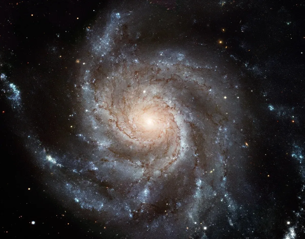 NASA Webb Explores Family Tree of Newly Discovered Distant Objects 图片 4