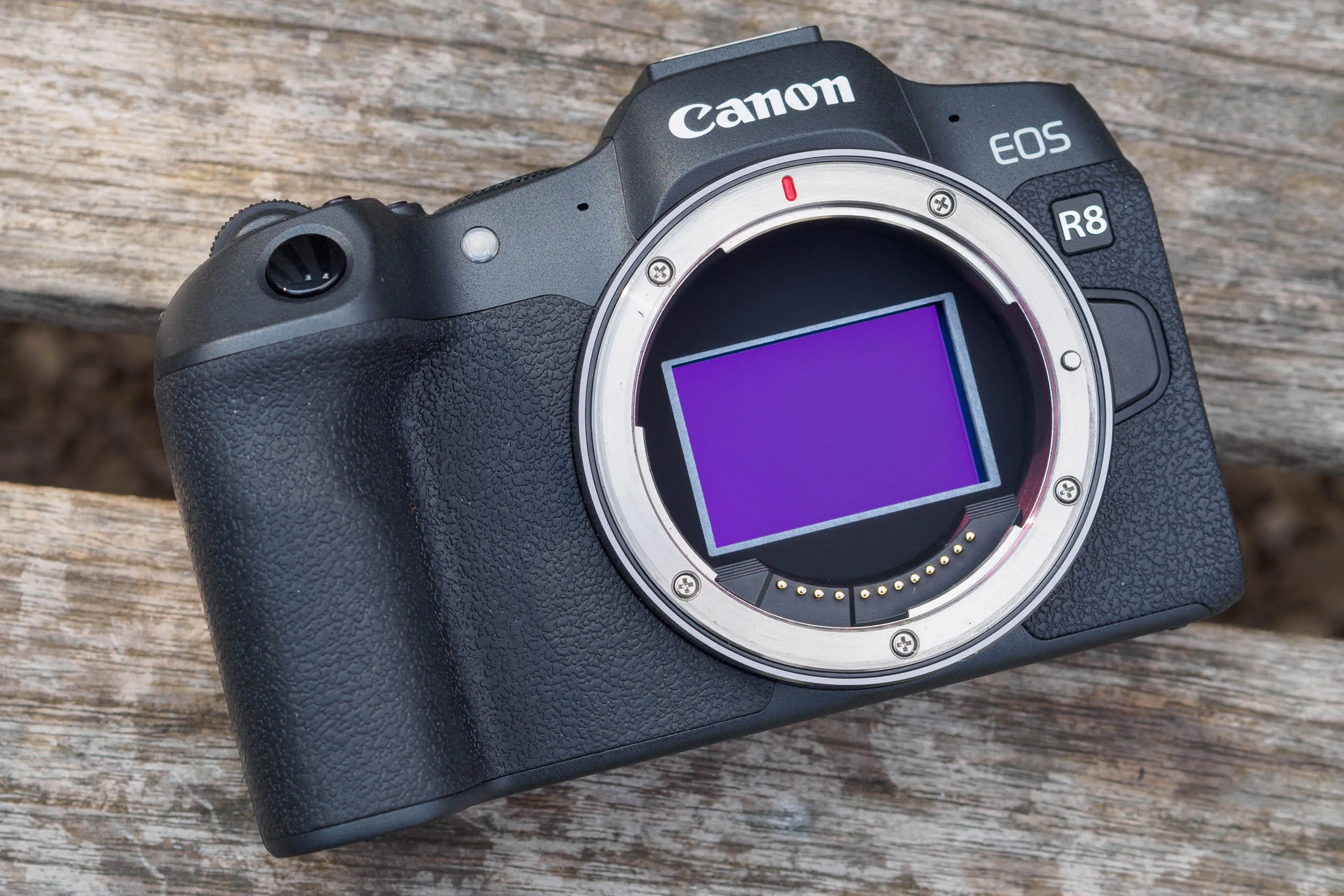 This full-frame Canon camera proves you can get a quality camera at a great price – without the weight 图片 4