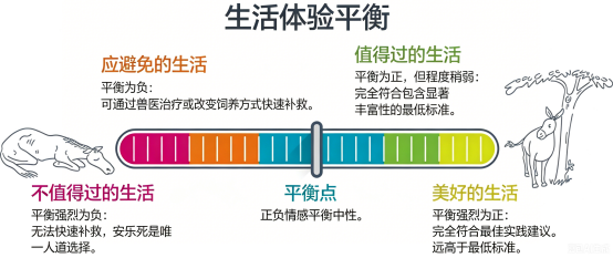 动物园饲养员不仅仅是把动物养活，还要让它们拥有值得过的生活｜彭培拉 一席 图片 4