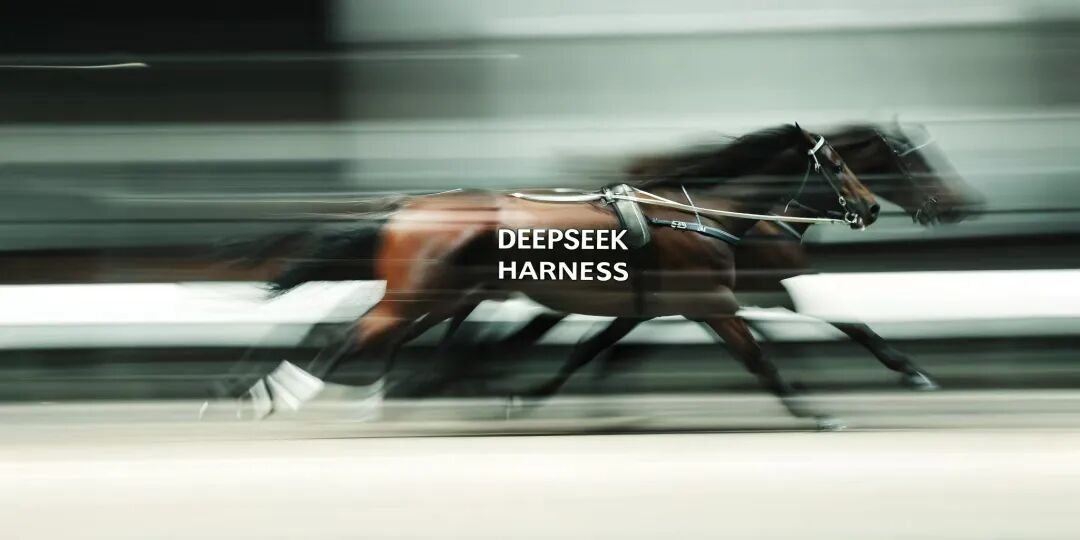 DeepSeek Harness 很妙：这不是一个产品，而是一个战略 图片 2