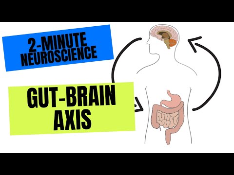 Scientists Find Neurons in The Gut That Could Be Driving Constipation And Pain 图片 2