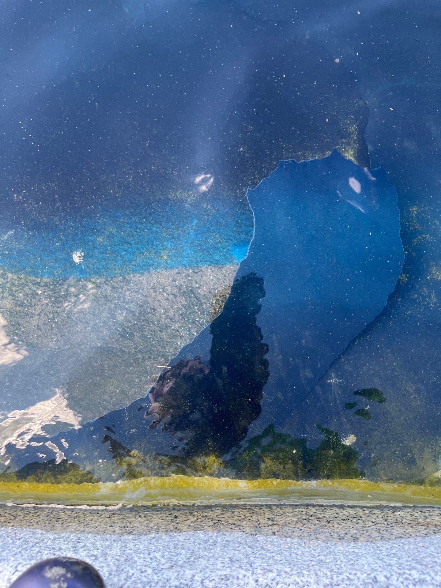 What the Reflecting Pool Actually Reflects 图片 4
