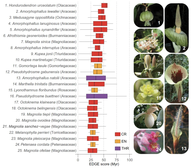 Scientists Studying Earth's Flowering Plants Issue a Stark Warning to Humanity 图片 3