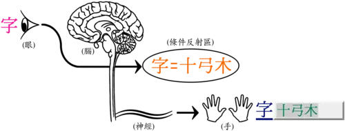 上手倉頡輸入法 图片 4
