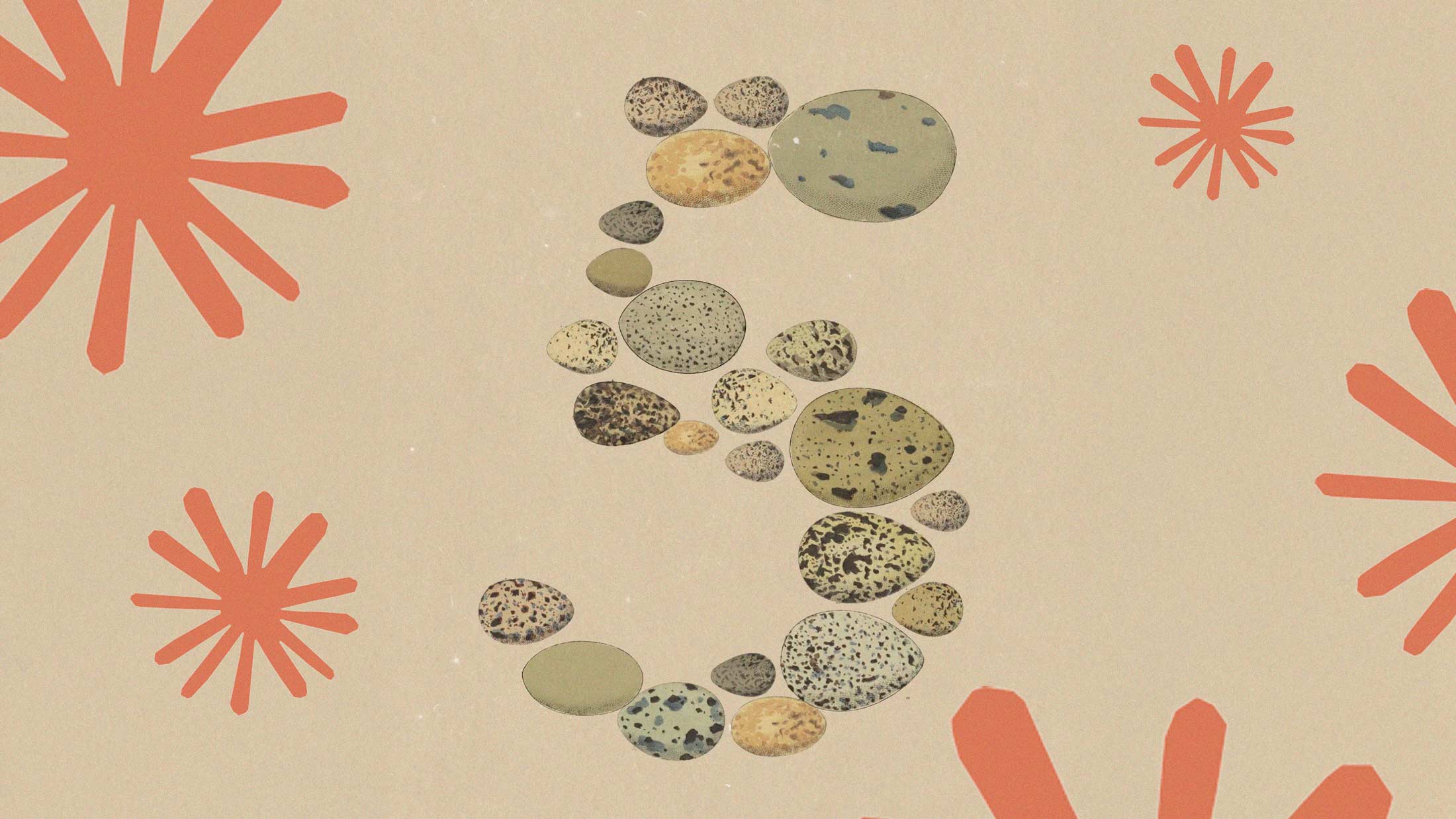Claude Opus 5 : Anthropic vous refile du Fable 5 pour moins cher 图片 2