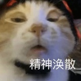 成为土豆