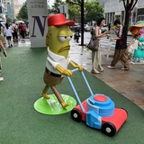 暴躁艺术家