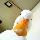 小生很忙