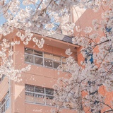 好好学习