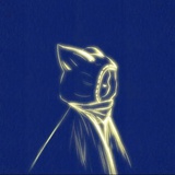 sxx