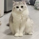 欧珑