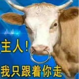 我洗了个头