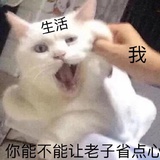 啊对你说得对