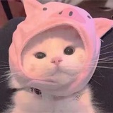 长安常安